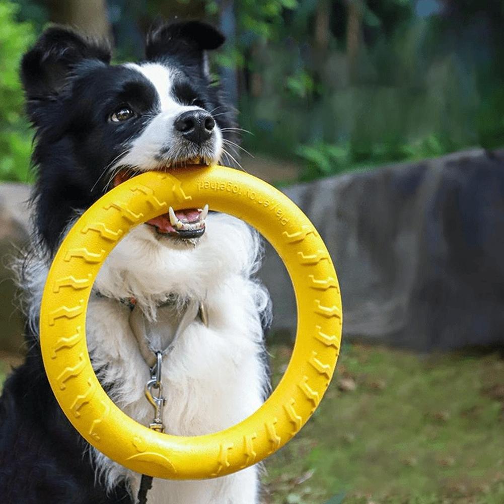 Suction Cup Dog Tug Toy - Mainan Kunyah Anjing Besar Tahan Gigitan,