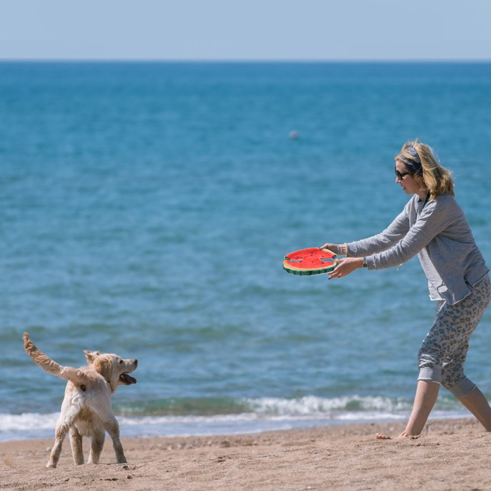 Flying Disc Dog Training Toy - Mainan Pelatihan Hewan Peliharaan Ringan dengan