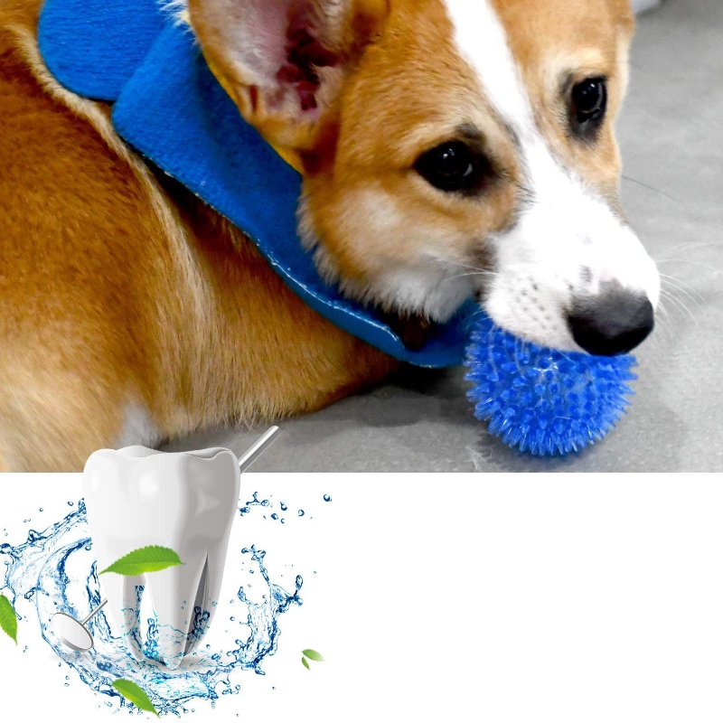 Bola Mainan Hewan Peliharaan u - Indestructible Dog Chew Toy ulasan dan harga