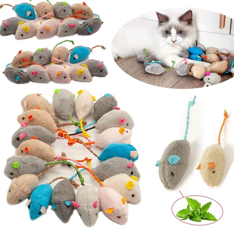 5 buah mainan kucing berbentuk - Catnip Interactive Plush Mouse ulasan dan harga