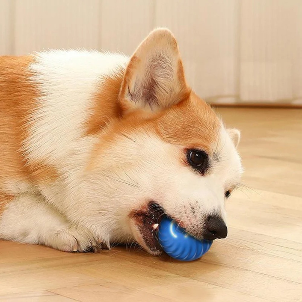Baru 1 buah mainan bola anjing - Automatic Moving Dog Ball ulasan dan harga