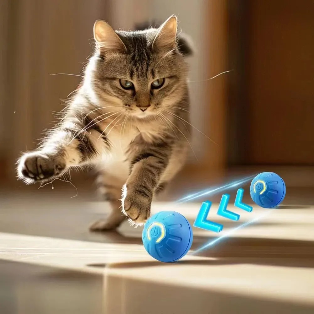 Baru 1 buah mainan bola anjing - Automatic Moving Dog Ball ulasan dan harga