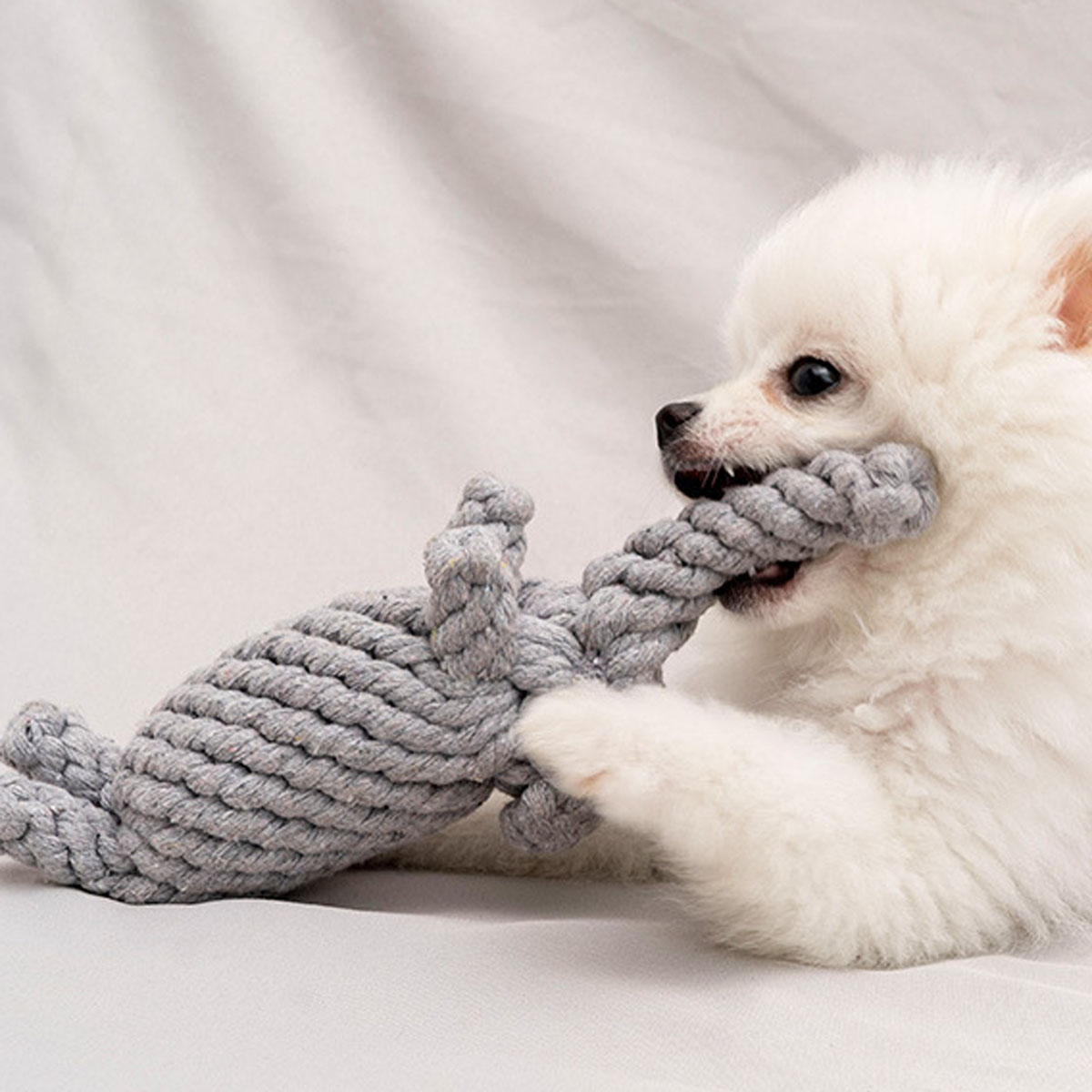 Mainan anjing peliharaan dari  - Indestructible Dog Chew Toy ulasan dan harga