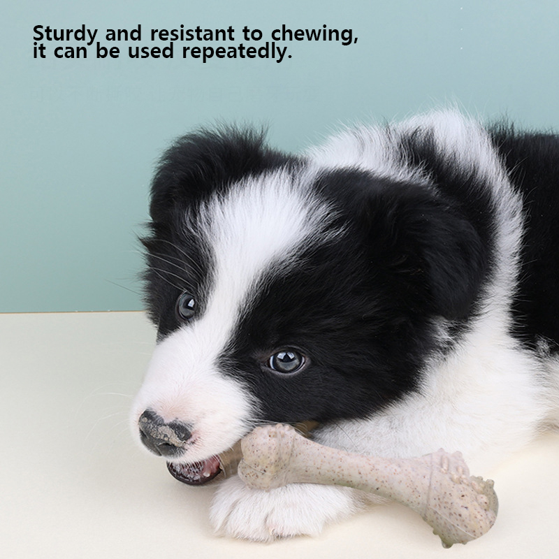 Mainan Hewan Peliharaan 12 cm, - Teeth Cleaning Dog Chew Bone ulasan dan harga