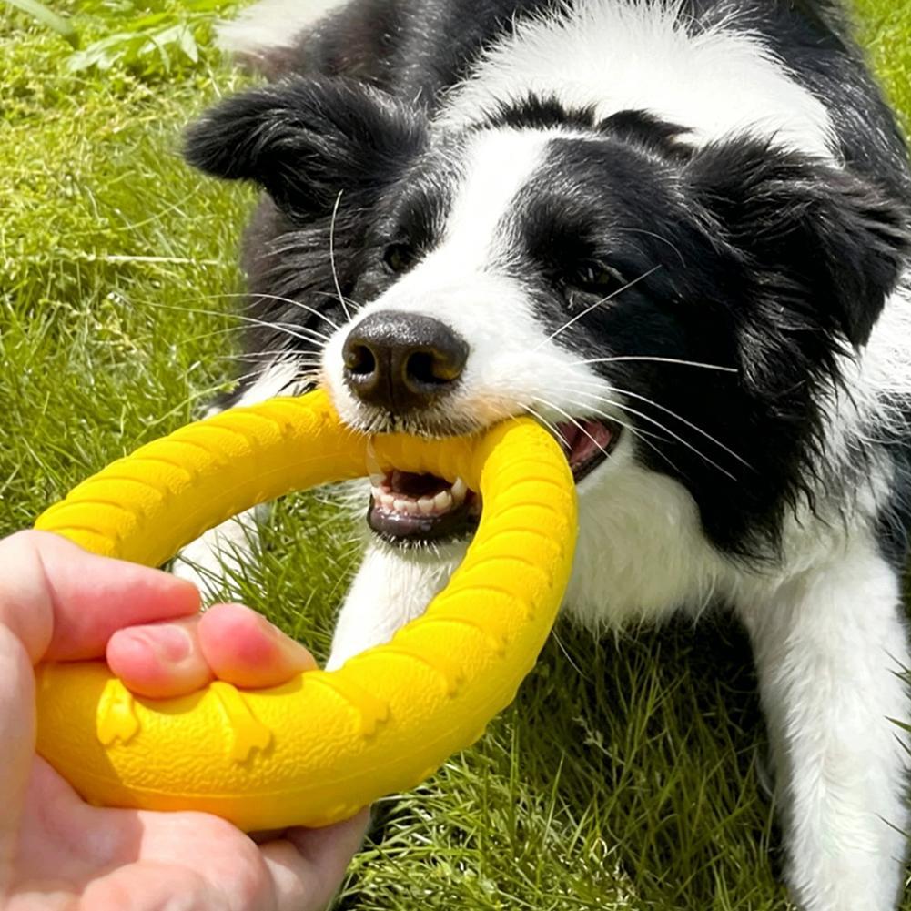Mainan Kunyah Anjing Besar Tah - Suction Cup Dog Tug Toy ulasan dan harga