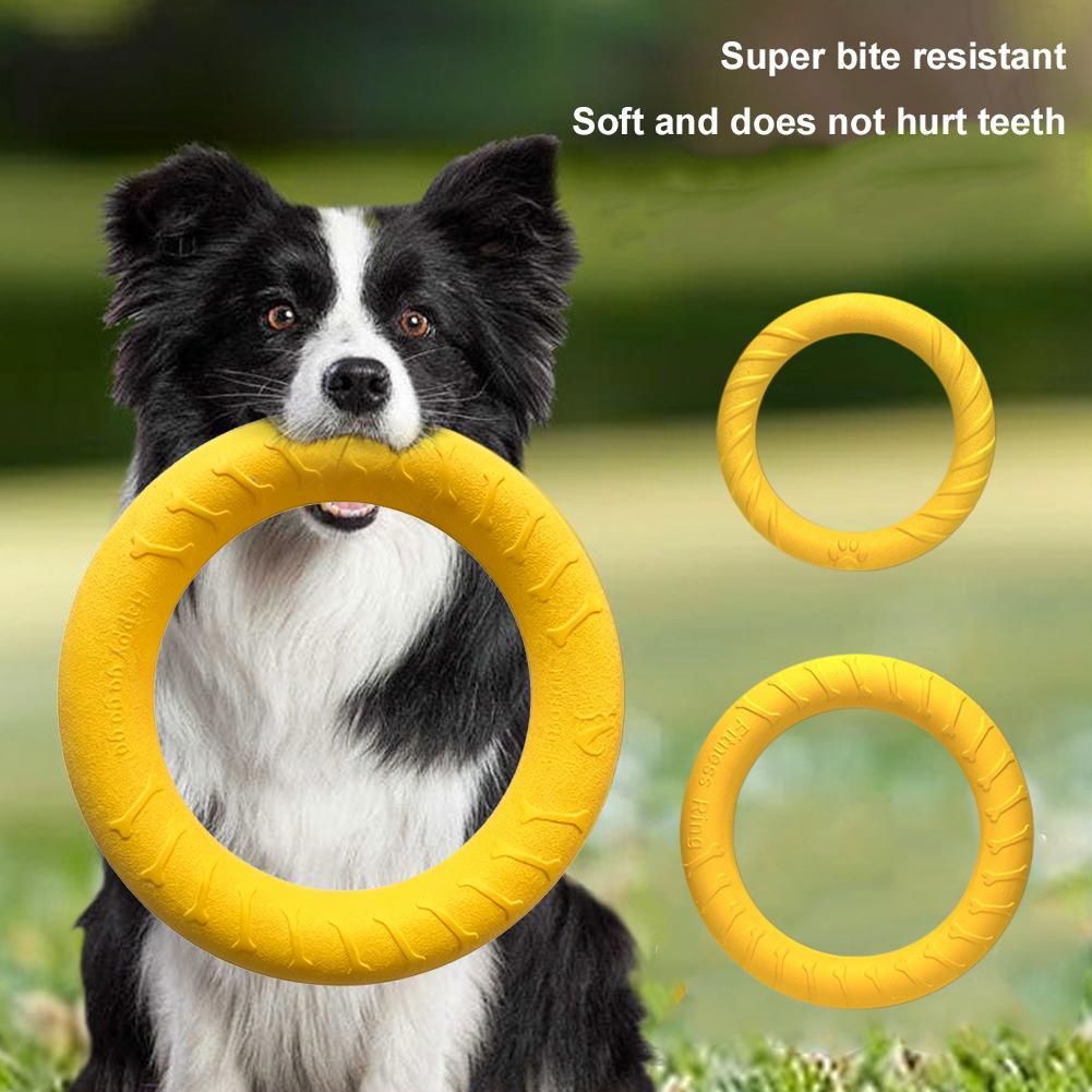 Mainan Kunyah Anjing Besar Tah - Suction Cup Dog Tug Toy ulasan dan harga