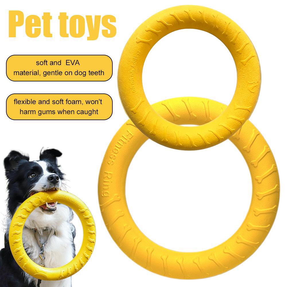 Mainan Kunyah Anjing Besar Tah - Suction Cup Dog Tug Toy ulasan dan harga