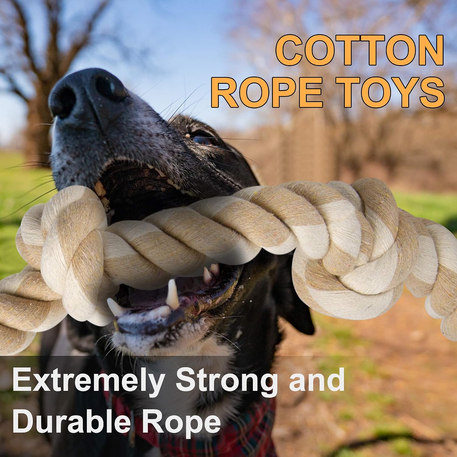 Mainan Kunyah Tali yang Tahan  - Dog Rope Toy Aggressive Chewers ulasan dan harga