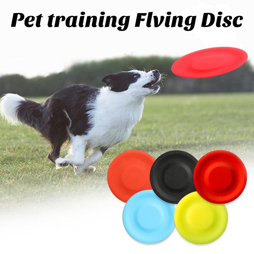 Mainan Disk terbang anjing pel - Flying Disc Dog Training Toy ulasan dan harga