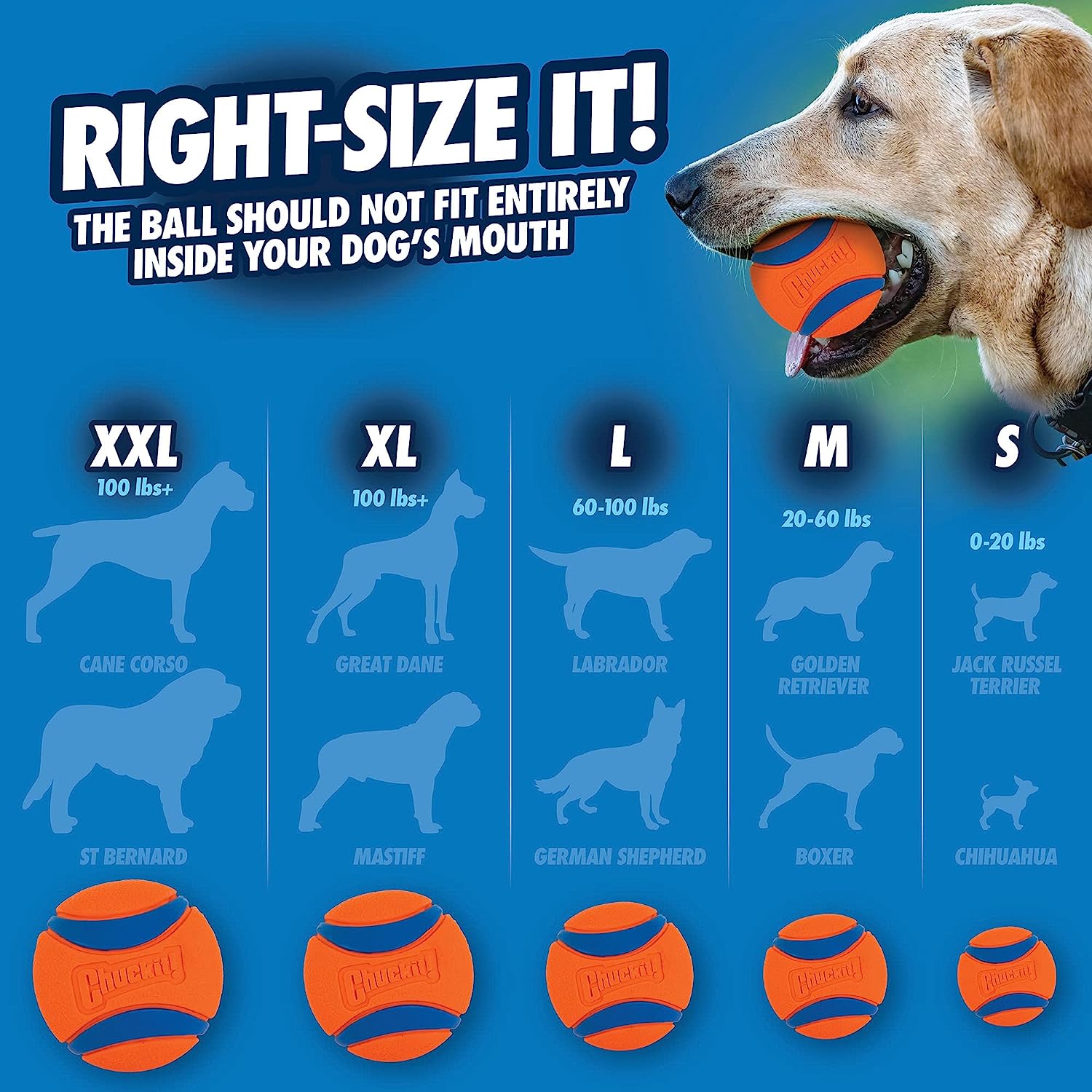 Mainan anjing Chuckit Ultra Ba - Indestructible Dog Chew Toy ulasan dan harga