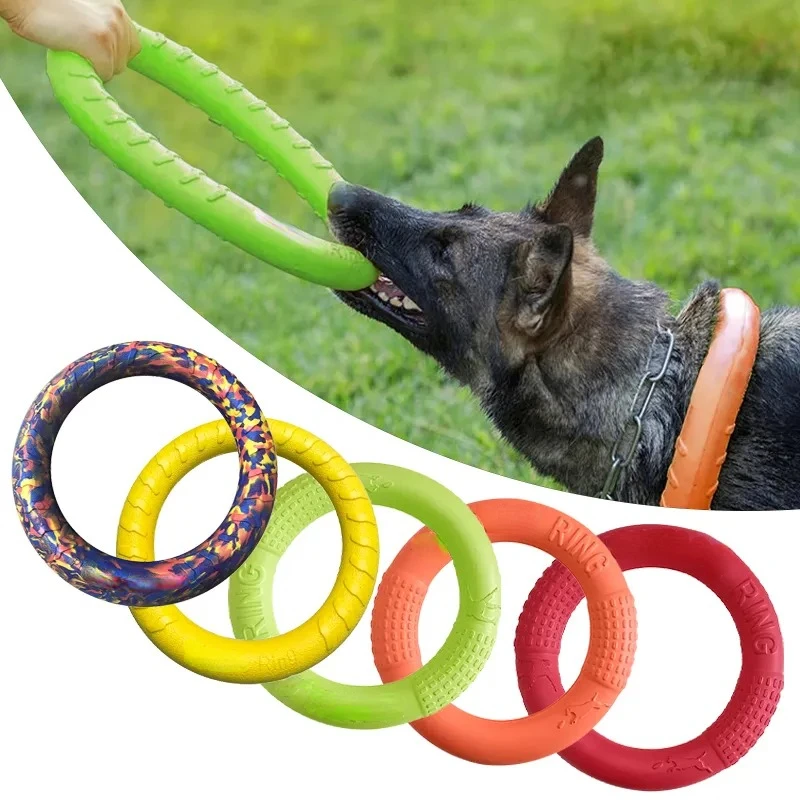 Mainan anjing hewan peliharaan - Flying Disc Dog Training Toy ulasan dan harga