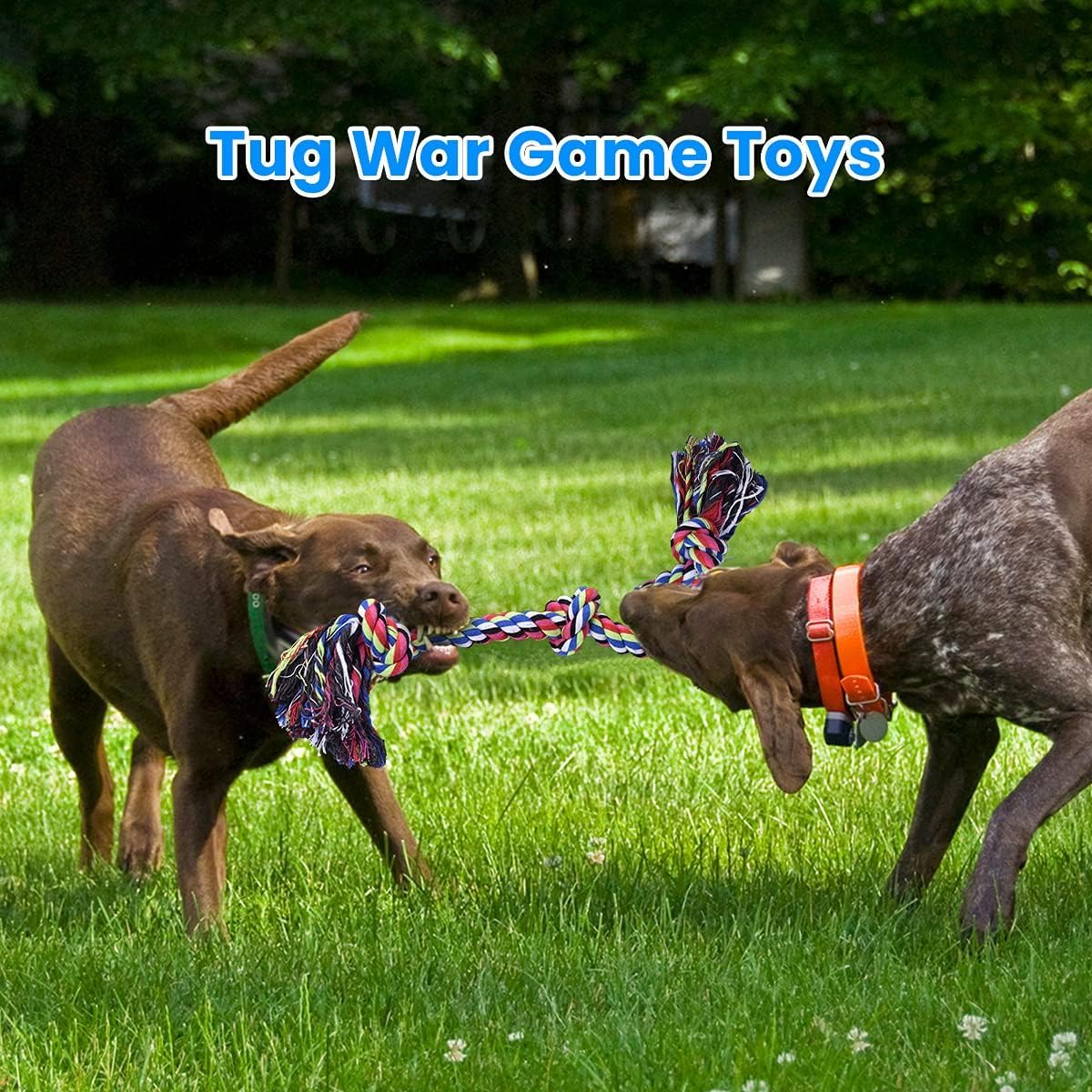 Mainan Anjing Tali Kuat untuk  - Dog Rope Toy Aggressive Chewers ulasan dan harga