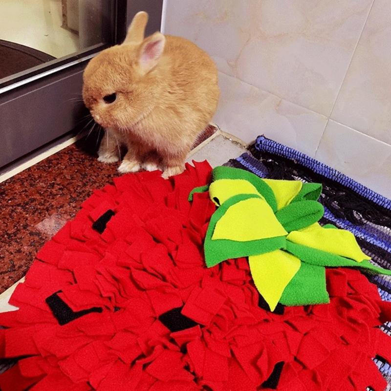 Tikar Snuffle Ukuran Besar unt - Snuffle Mat For Dogs ulasan dan harga