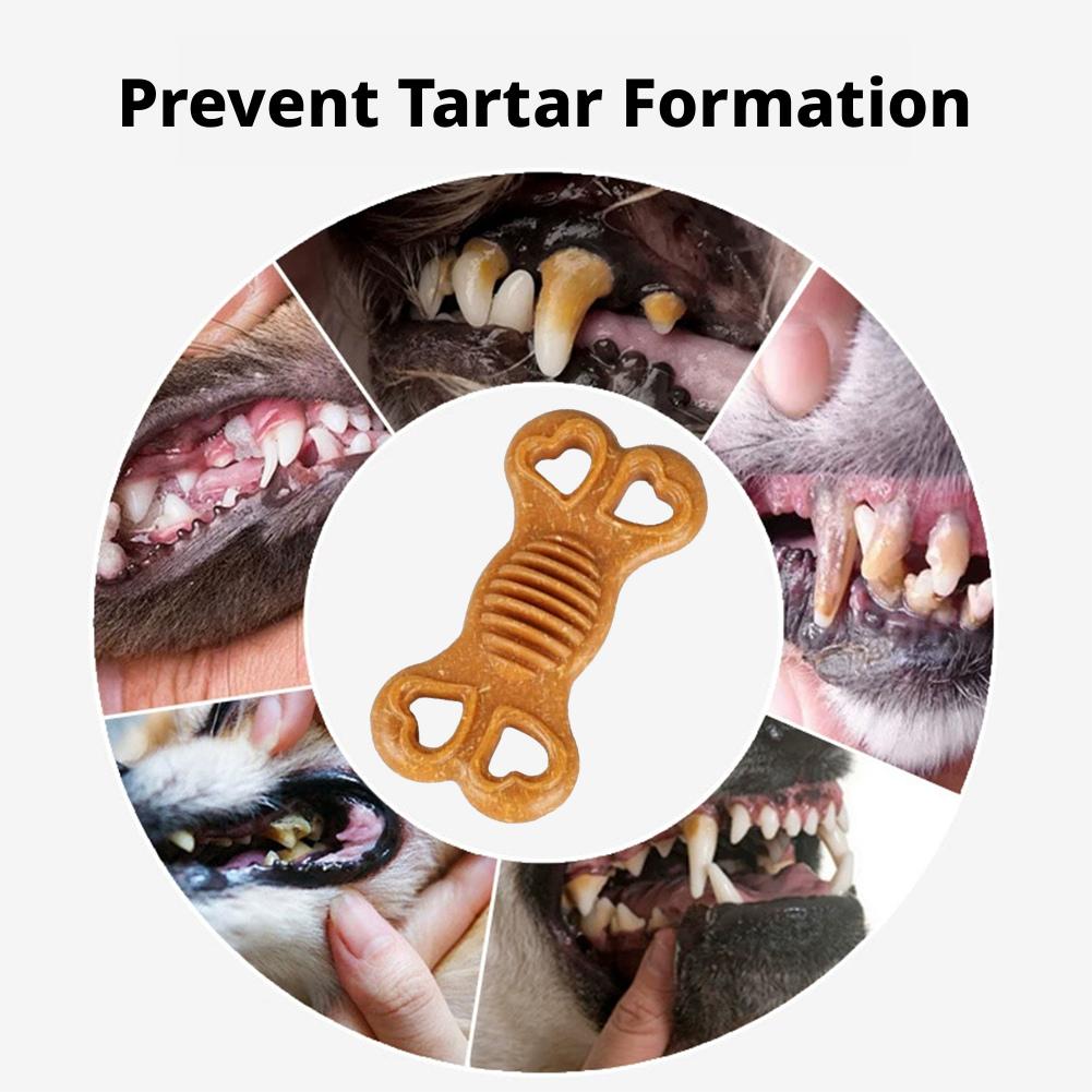 Mainan Gigitan Anjing yang Tid - Teeth Cleaning Dog Chew Bone ulasan dan harga